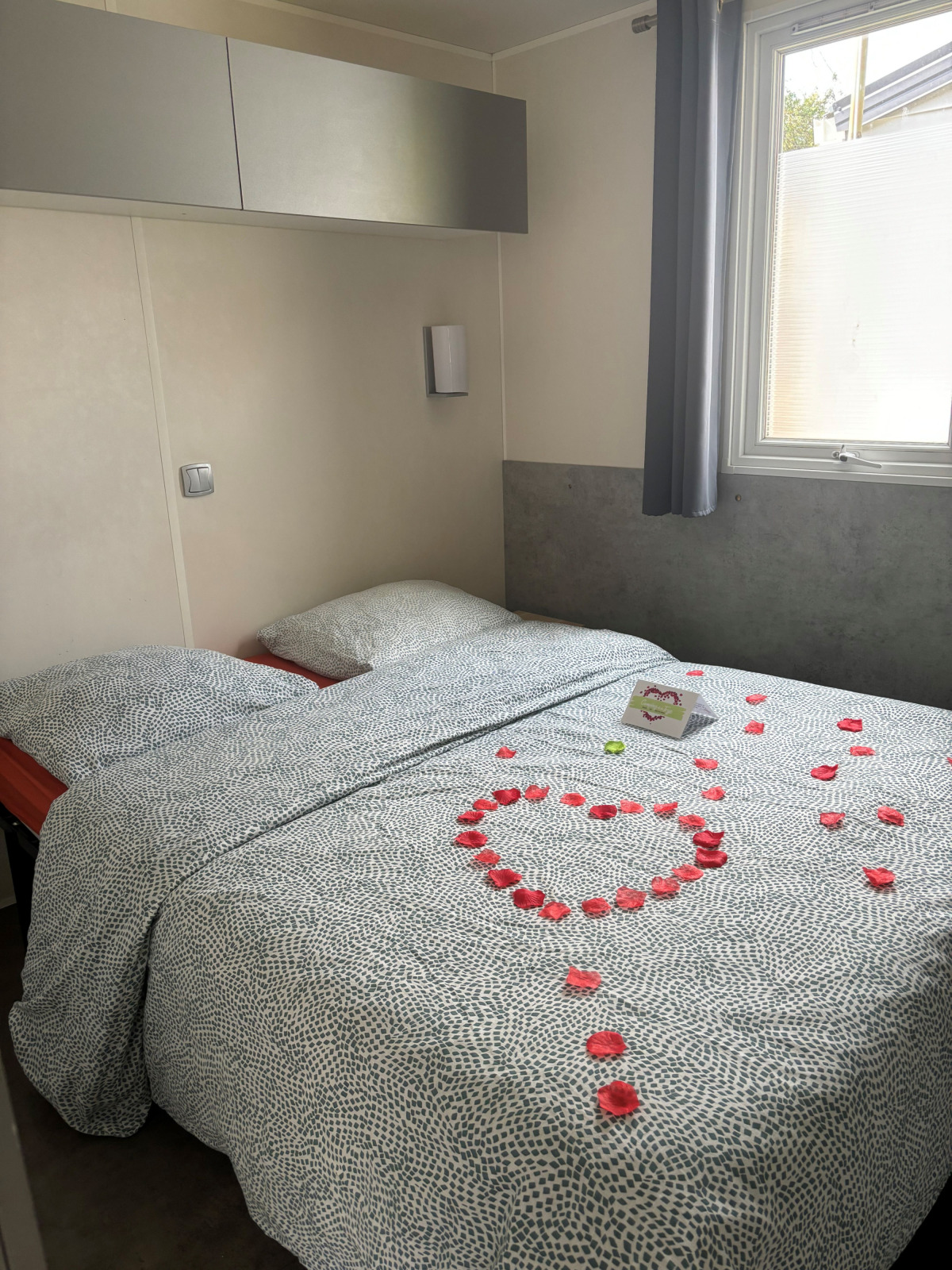 Een knusse lodge slaapkamer met rozenblaadjes en een kaart op het bed, naast een raam met licht.