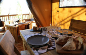 Set table in a safari tent with wooden furniture, glasses, plates, and fresh bread in sunlight.