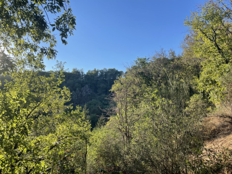 View of lush forest and clear sky from the Safari Lodge at Campsite Moulin de Chaules, France.
