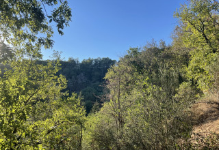 View of lush forest and clear sky from the Safari Lodge at Campsite Moulin de Chaules, France.