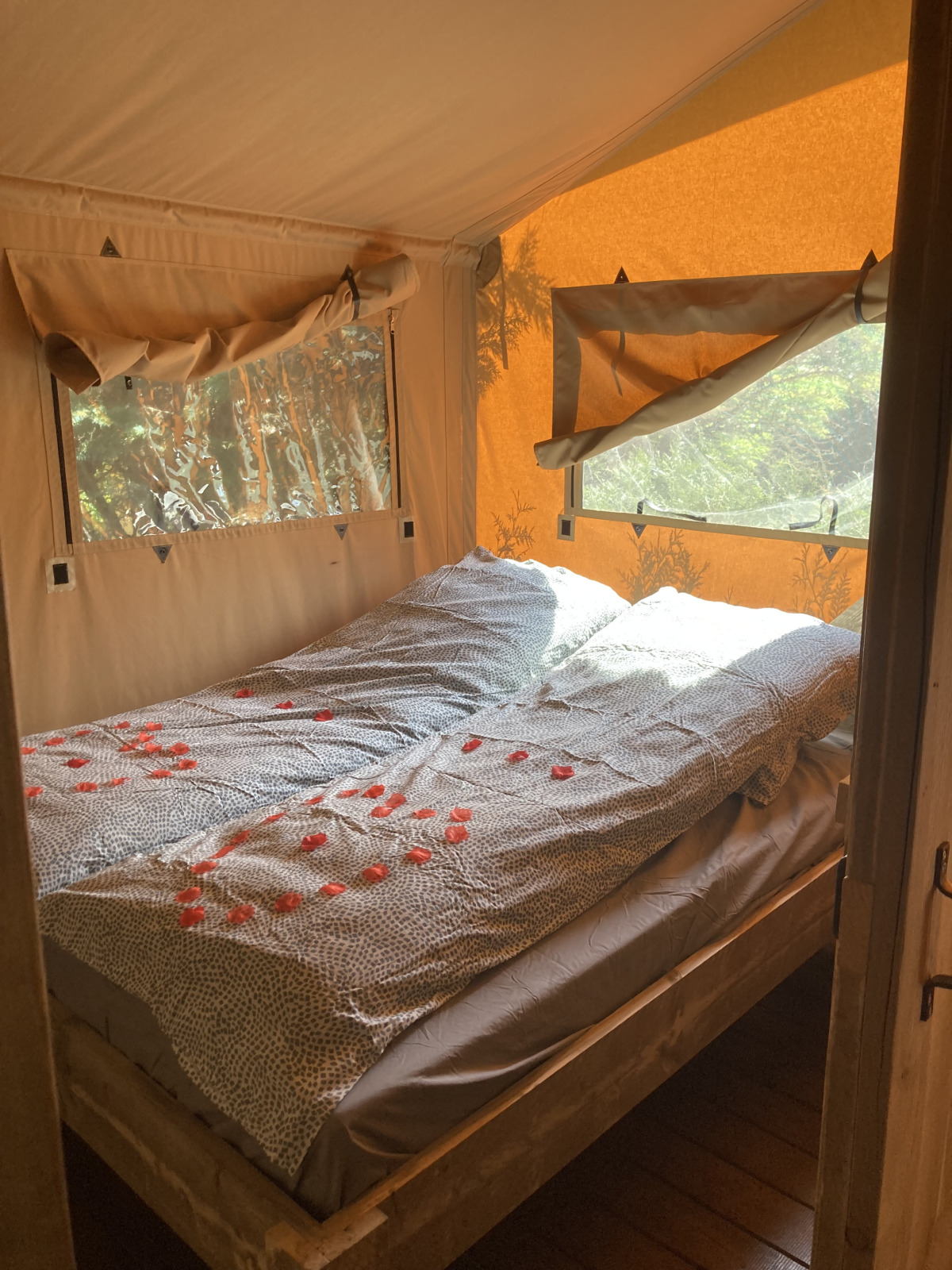 Binnenaanzicht van een knus bed met beddengoed en rozenblaadjes in een Safari Tent XXL bij Flower Camping de la Trye.