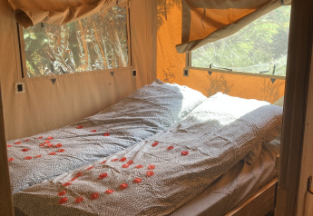 Binnenzicht van een gezellige bed met lakens en rozenblaadjes in een Safari Tent XXL bij Flower Camping de la Trye.