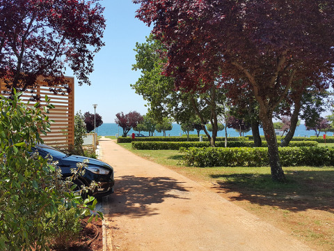 Allée bordée d’arbres menant à la mer au Park Riviera «EVO» du Campsite Park Umag, en Croatie.