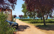 Path with trees and greenery leads towards the sea at Park Riviera «EVO» in Campsite Park Umag, Croatia.