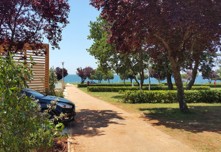 Path with trees and greenery leads towards the sea at Park Riviera «EVO» in Campsite Park Umag, Croatia.