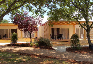 Deux lodges Park Riviera EVO au camping Park Umag en Croatie, entourés d’arbres et de terrasses en bois.