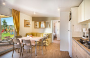 Moderne leefruimte en keuken in Bella Vista Home bij Valamar Camping Krk, met terraszicht in Kroatië.