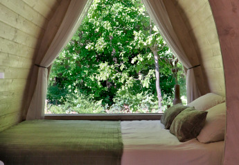 Slaapkamer in houten cabine met groot raam en groen uitzicht, Cabin at Thuysgrond, Nederland.
