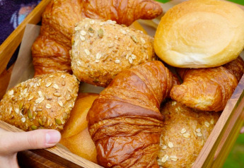 Iemand houdt een schaal met verse croissants en broodjes buiten bij een glamping accommodatie.