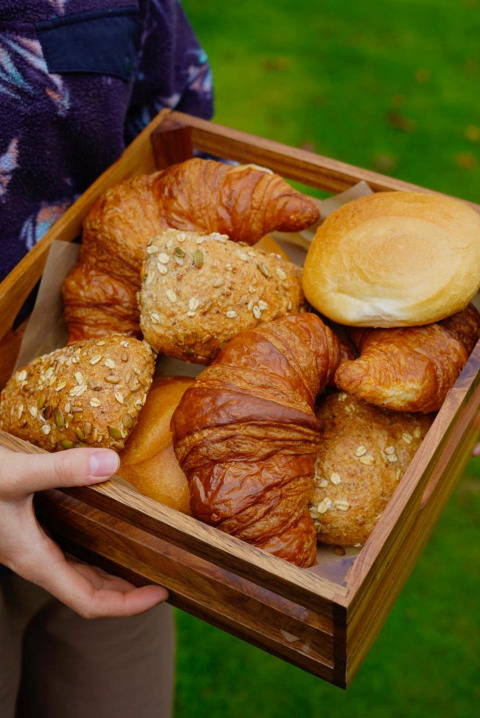 Een persoon houdt een schaal met croissants en broodjes vast buiten bij een glampingverblijf.