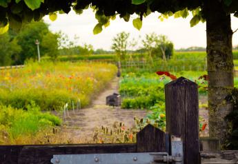 Puerta de madera da acceso a un campo colorido en glamping, con camino de jardín y plantas verdes.