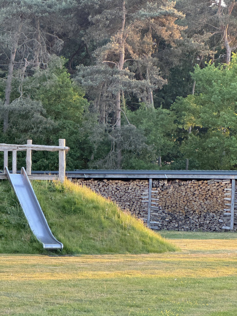 Toboggan en métal sur pelouse à côté de tas de bois et forêt dans un hébergement de glamping.