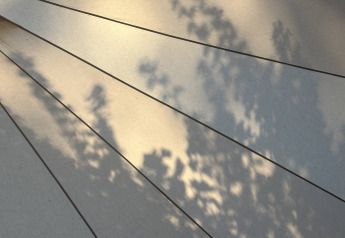 Blatt-Schatten auf einem beigen Tipizeltstoff mit dunklen Linien, aufgenommen im Bell-Zelt.