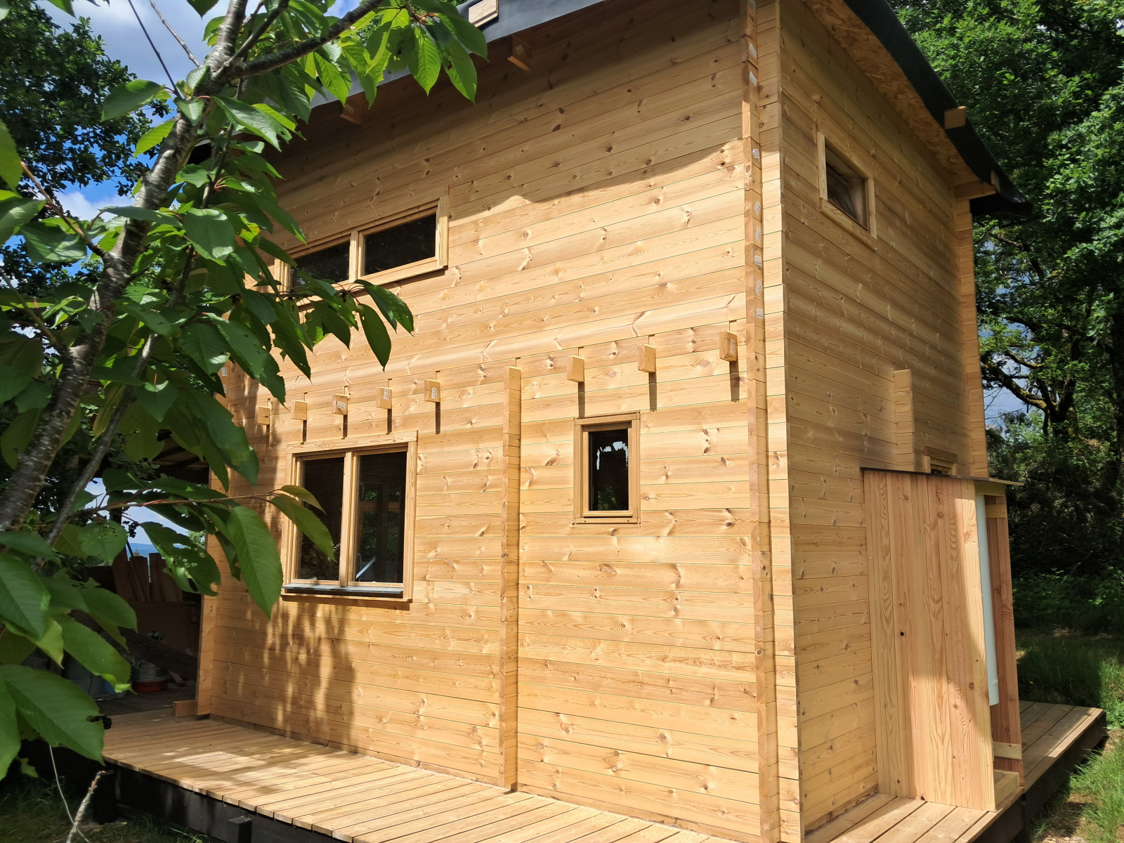 Houten lodge genaamd Avignon met lichte houten panelen, omgeven door groene bomen en zonlicht.