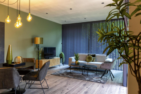 Modern living room with green walls and large windows at Forest Cottage, Holiday Park BreeBronne, Netherlands.