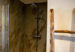 Modern shower area with rustic wooden ladder in Forest Cottage at Holiday Park BreeBronne, Netherlands.