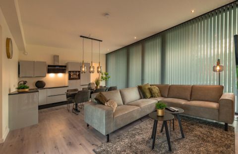 Moderne woonkamer en keuken in Forest Lodge, Holiday Park BreeBronne, Nederland, met eigentijds interieur.