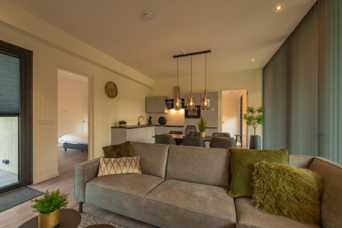 Moderne woonkamer en keuken in Forest Lodge op Holiday Park BreeBronne, Nederland, stijlvol en gezellig.