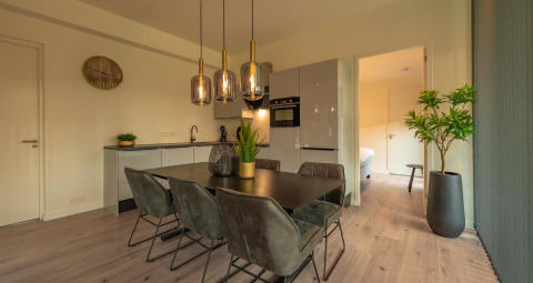 Moderne eetruimte en keuken in Forest Lodge bij Holiday Park BreeBronne, Nederland, met stijlvol meubilair.