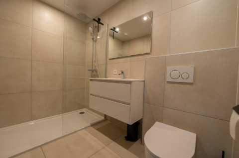 Baño moderno en Forest Villa en Holiday Park BreeBronne con ducha, lavabo y sanitario de diseño.