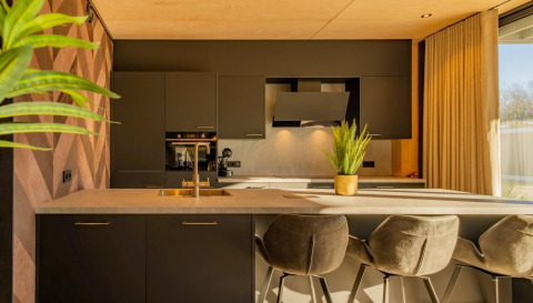 Moderne keuken in Forest Villa, Holiday Park BreeBronne, Nederland, met stijlvolle inrichting en daglicht.