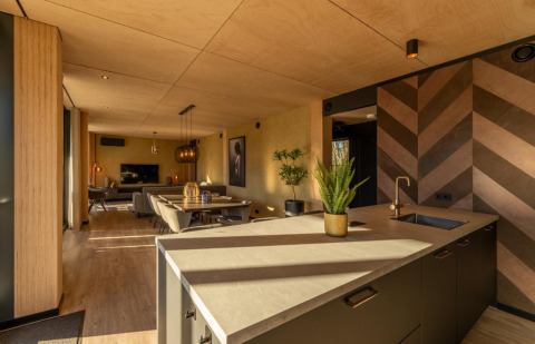 Modern lodge-interieur bij Forest Villa, BreeBronne, Nederland, met keukeneiland, eethoek en zithoek.