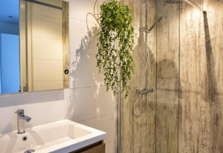Moderne badkamer in Water Cube, Holiday Park BreeBronne, Nederland, met inloopdouche en hangplant.