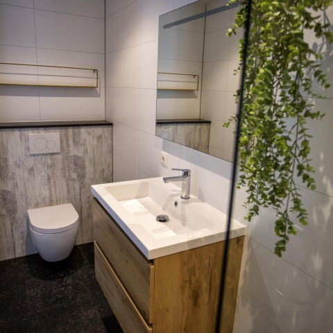 Moderne badkamer in de Water Cube bij Holiday Park BreeBronne, Nederland, met houten wastafel en planten.