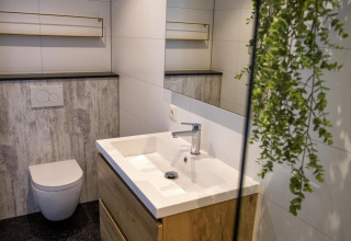 Moderne badkamer in de Water Cube bij Holiday Park BreeBronne, Nederland, met houten wastafel en planten.