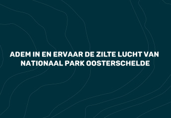 Respira e vivi l’aria salmastra del Parco Nazionale Oosterschelde al glamping Villa Oesterdam