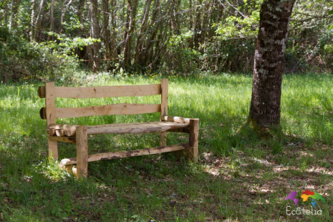 Rustieke houten bank op het gras naast een boom in Domaine EcÔtelia, Nouvelle-Aquitaine, Frankrijk.