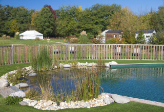 Piscine naturelle avec plantes et pierres au Domaine EcÔtelia, un parc de vacances entouré de verdure en France.