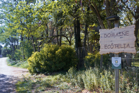 Cartello d’ingresso al parco vacanze Domaine EcÔtelia in Nouvelle-Aquitaine, Francia, immerso nel verde bosco.
