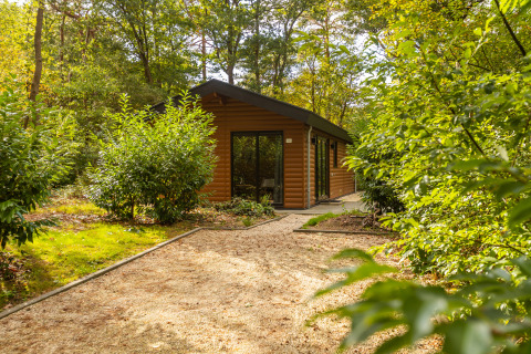 Een Velthorst-lodge verscholen in een groen bos, met grindpad naar de ingang tussen het groen.