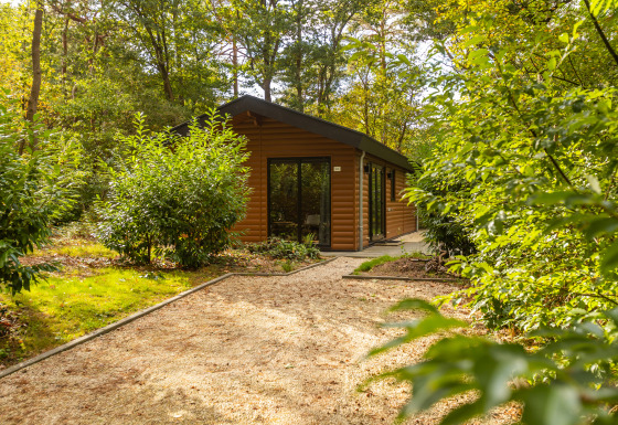 Un lodge Velthorst au cœur d'une forêt verdoyante, entouré de nature avec allée de graviers.