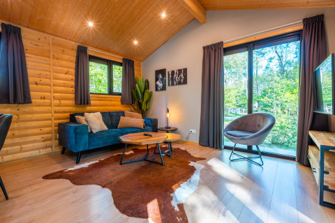 Soggiorno nel lodge Velthorst al parco vacanze De Wiltzangh, Paesi Bassi, con arredi moderni e grandi finestre.