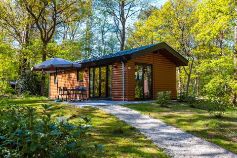 Velthorst Hot Tub Lodge in einem grünen Wald mit Terrasse, Sitzbereich und Naturblick im Frühling.