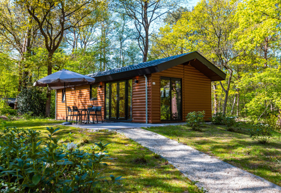 Velthorst Hot Tub Lodge nestled in a lush green forest, with patio seating and peaceful spring scenery.