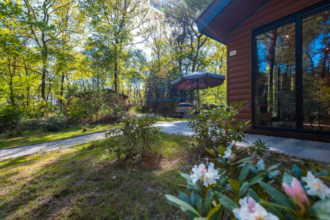 Chalet Velthorst au parc de vacances De Wiltzangh aux Pays-Bas, entouré de verdure et d'arbres majestueux.