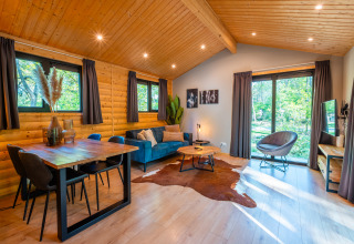 Salotto moderno di lodge con soffitto in legno, divano blu e ampie finestre a De Wiltzangh, Paesi Bassi.