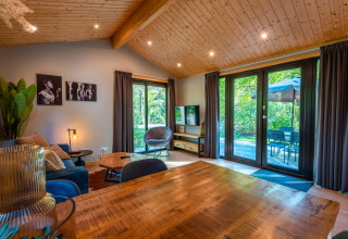 Moderne stue i en lodge ved ferieparken De Wiltzangh i Nederlandene med store vinduer og træloft.