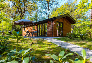 En moderne Velthorst-lodge i Holiday park De Wiltzangh, Holland, omgivet af frodig grøn natur og solskin.