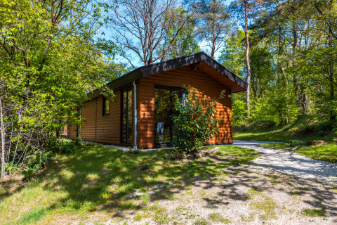 Wellness Lodge Wood XL in een zonnig bos, met moderne houten gevel en rustige, natuurlijke omgeving.