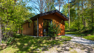 Wellness Lodge Wood XL im grünen Wald, sonnig gelegen, mit moderner Holzfassade und ruhiger Umgebung.