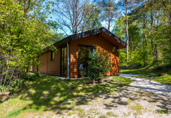 Wellness Lodge Wood XL i en grøn skov med sollys, moderne træfacade og fredelig atmosfære.