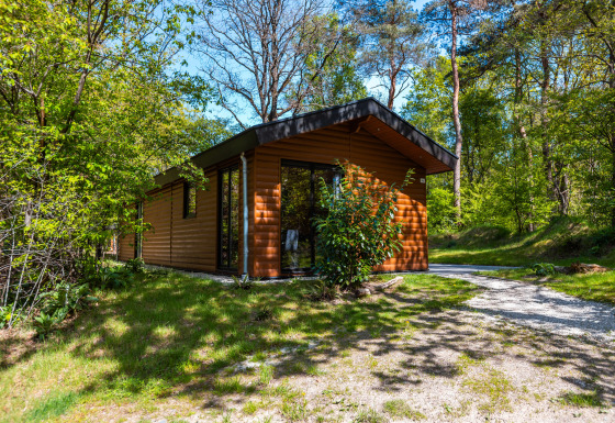Wellness Lodge Wood XL in een zonnig bos, met moderne houten gevel en rustige, natuurlijke omgeving.