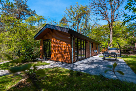 Wellness Lodge «Wood XL» nel parco vacanze De Wiltzangh, Paesi Bassi, immerso nel verde rigoglioso.