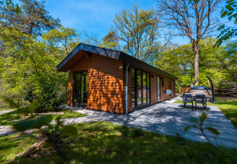 Wellness Lodge «Wood XL» at Holiday park De Wiltzangh in the Netherlands, surrounded by lush greenery.