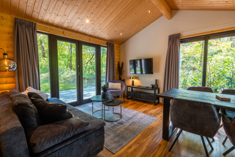 Cozy living room at Wellness Lodge «Wood XL», Holiday park De Wiltzangh, spacious windows, and wood accents.