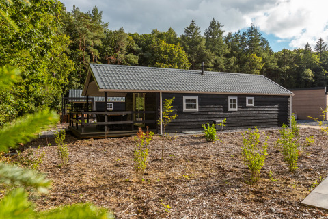 Foto af Heidelodge tiny house i en skovklædt beliggenhed med terrasse, omgivet af træer og buske.